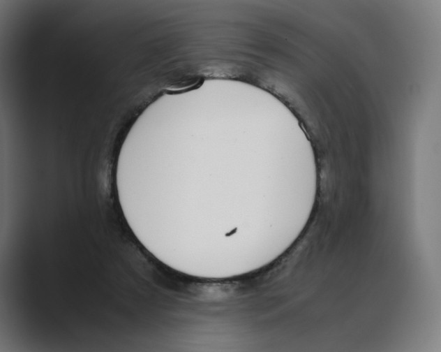 X0000088420305200706191221