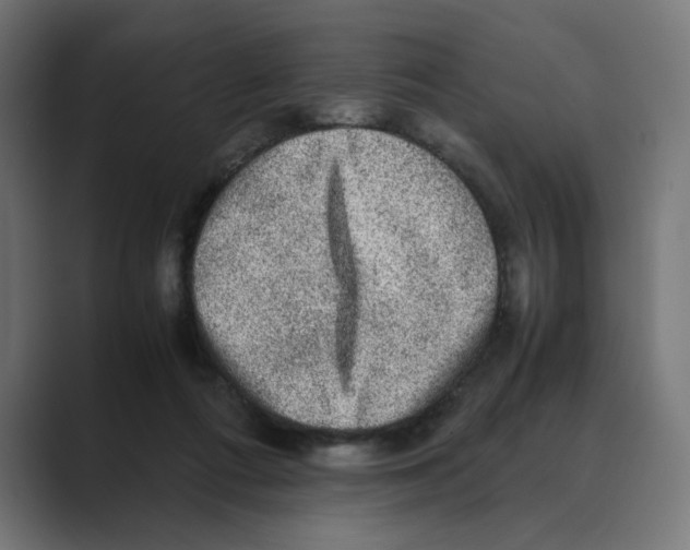 X0000088420312200706191220