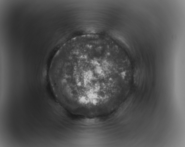 X0000088420314200706191220