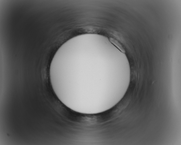 X0000088420317200706191220