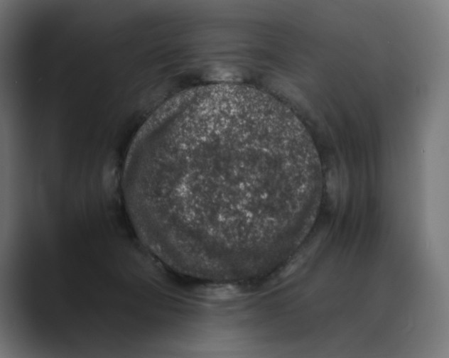X0000088420322200706191220