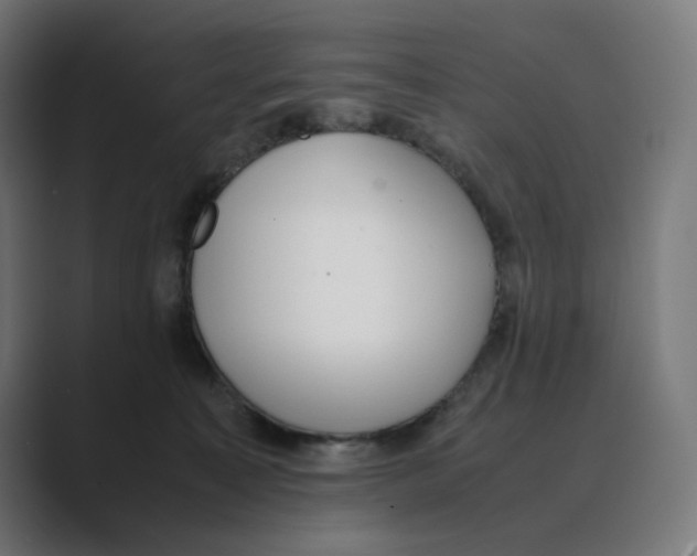 X0000088420323200706191220