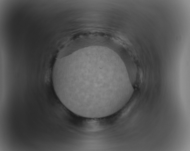 X0000088420325200706191220