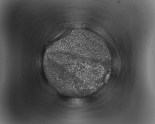 X0000088420326200706191220