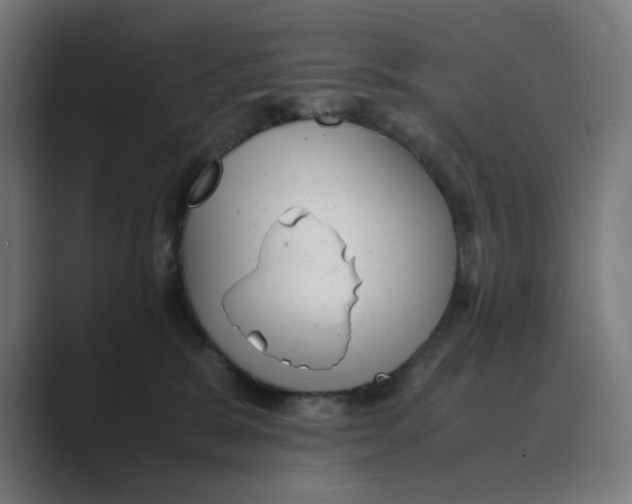 X0000088420327200706191220
