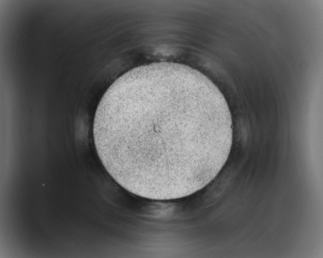 X0000088420328200706191220