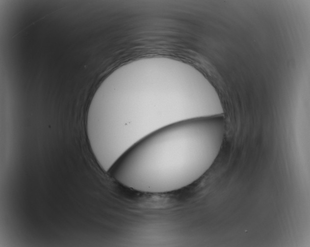 X0000088420329200706191220