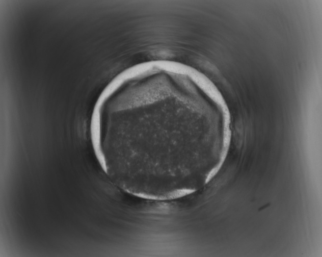 X0000088420330200706191220