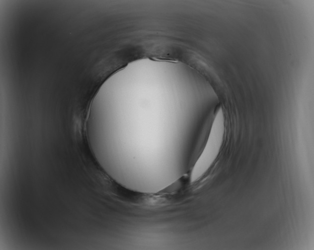 X0000088420333200706191220