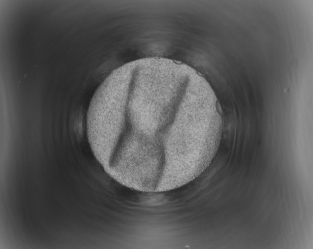 X0000088420334200706191220