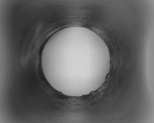 X0000088420338200706191220