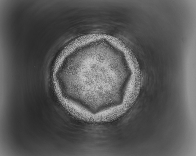 X0000088420339200706191220