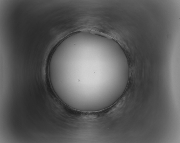 X0000088420340200706191220
