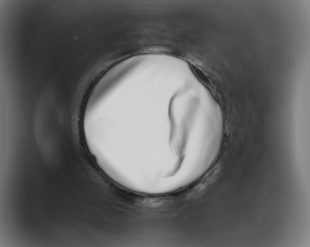 X0000088420341200706191220