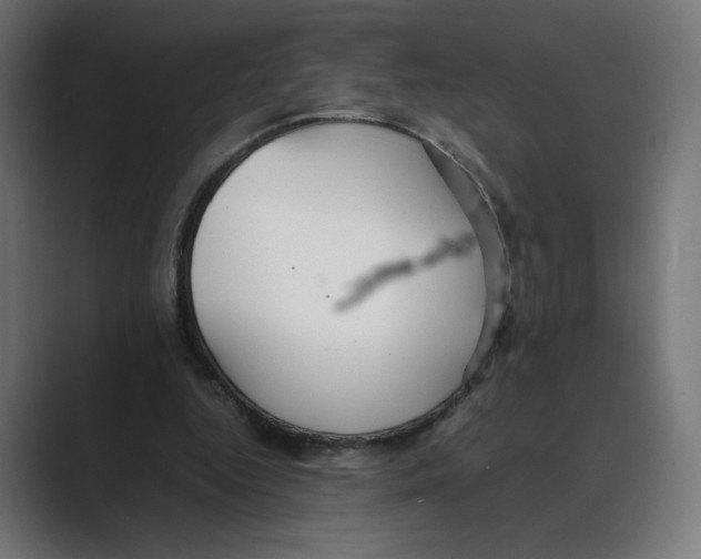 X0000088420344200706191220