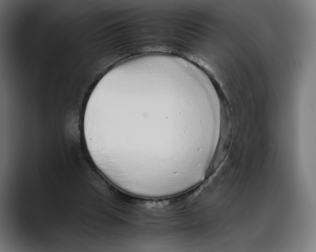 X0000088420345200706191220