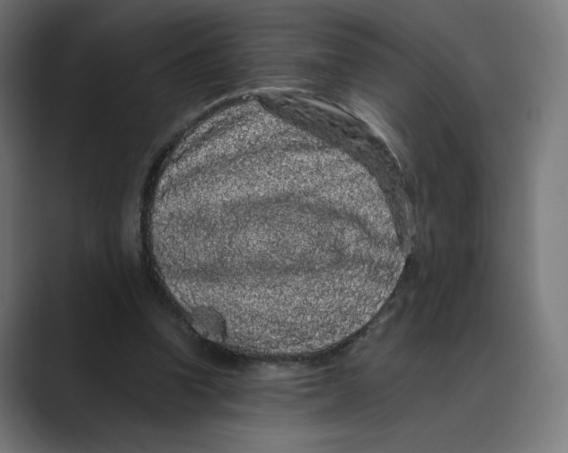 X0000088420346200706191220