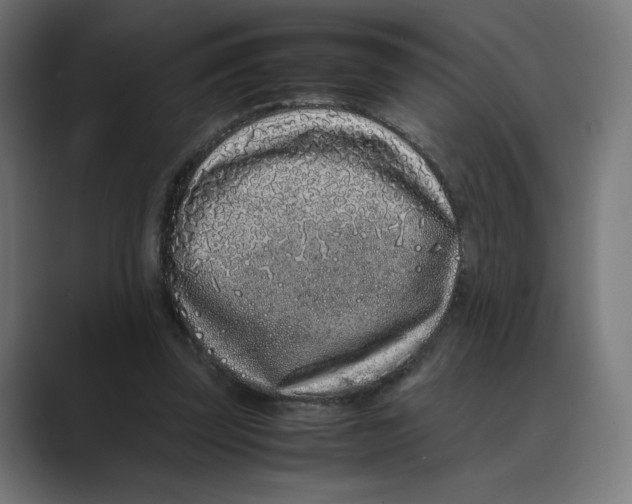 X0000088420347200706191220