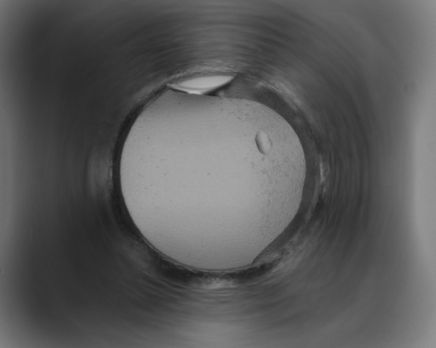 X0000088420348200706191220