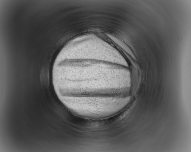 X0000088420349200706191220
