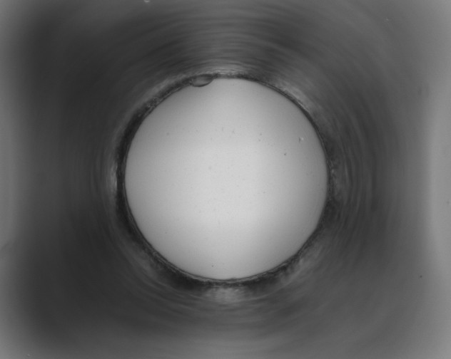 X0000088420350200706191220