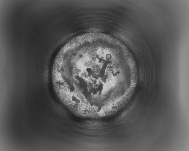 X0000088420351200706191220