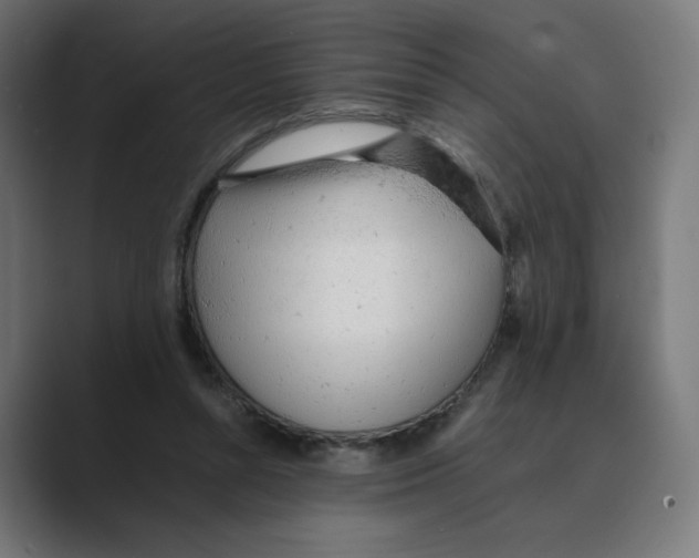 X0000088420352200706191220