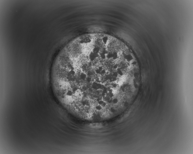 X0000088420353200706191220