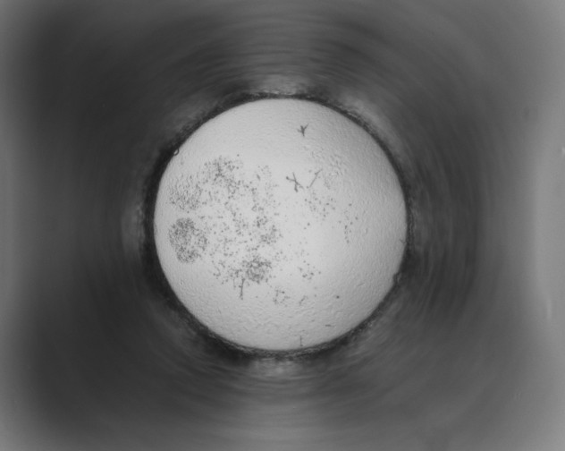 X0000088420354200706191220