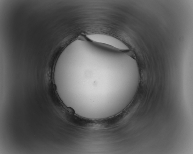 X0000088420356200706191220