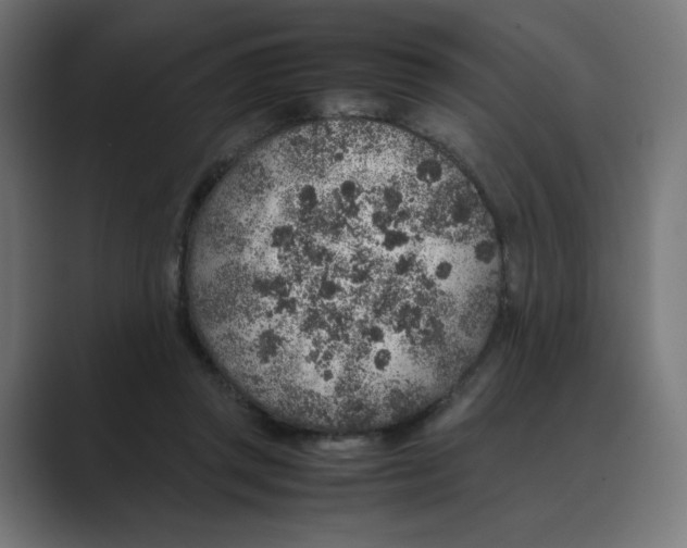 X0000088420357200706191220