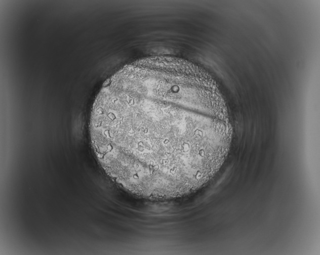 X0000088420359200706191220