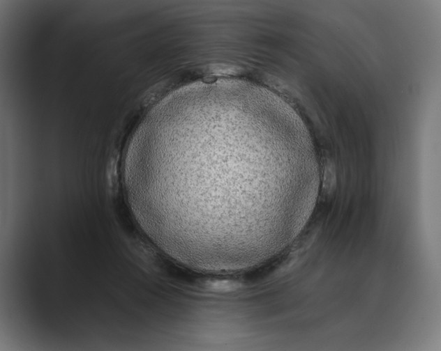 X0000088420360200706191220