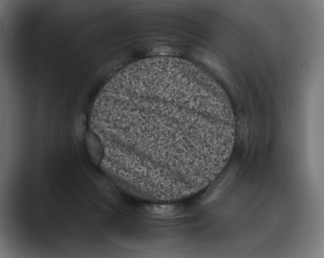 X0000088420361200706191220