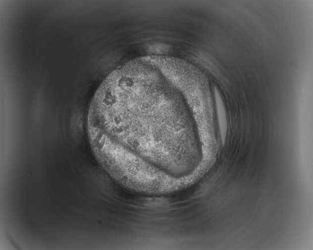X0000088420363200706191220