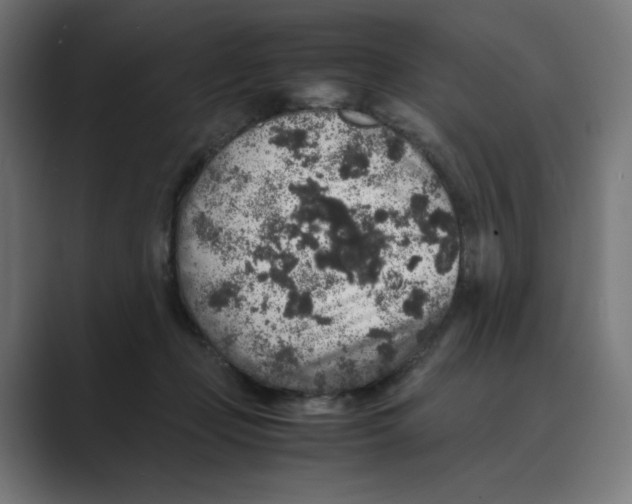 X0000088420365200706191220