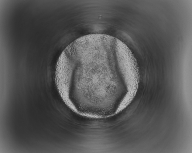 X0000088420366200706191220