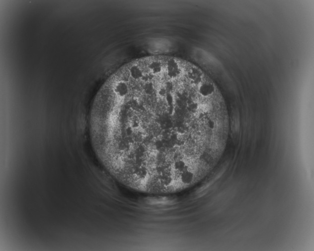 X0000088420367200706191220