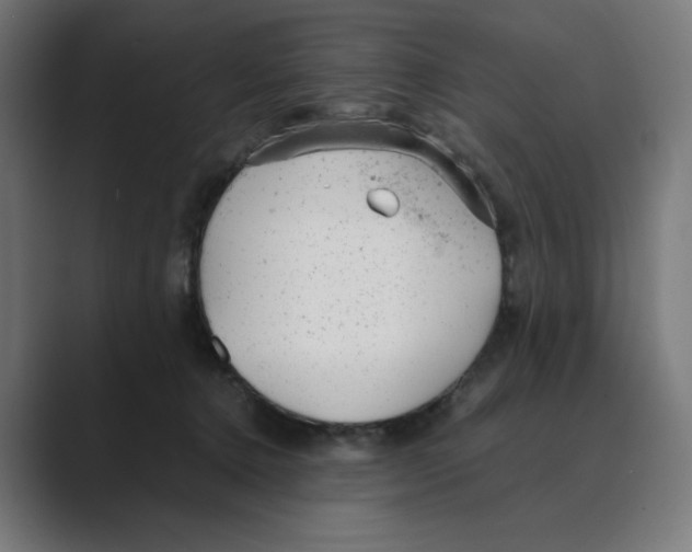 X0000088420368200706191220