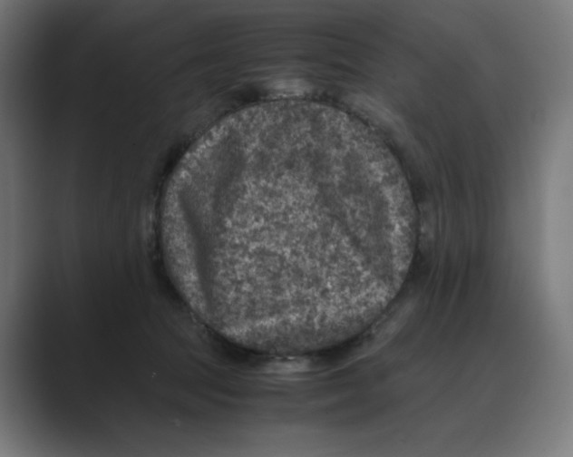 X0000088420369200706191220