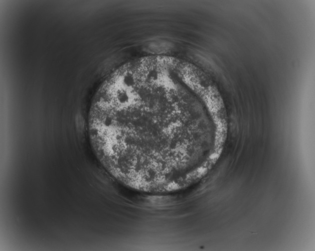 X0000088420371200706191220