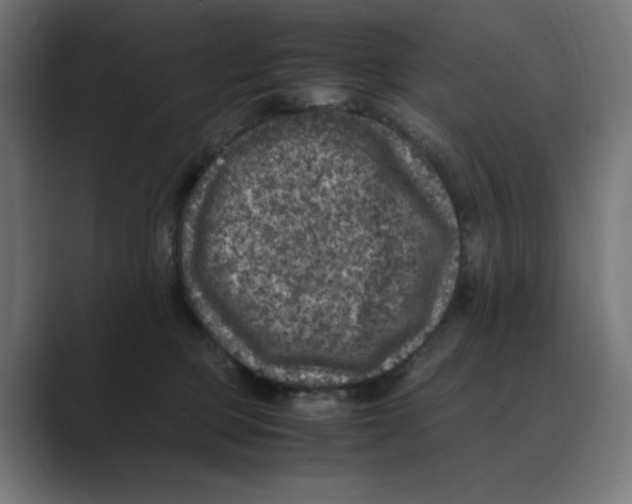 X0000088420373200706191220