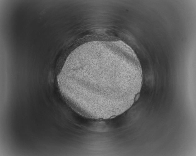 X0000088420374200706191220