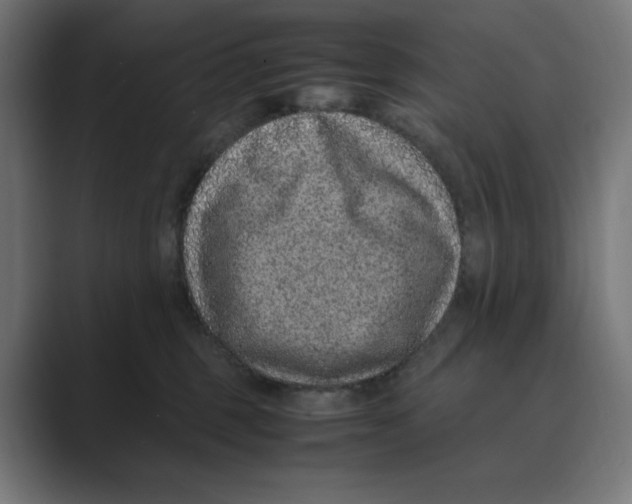 X0000088420375200706191220