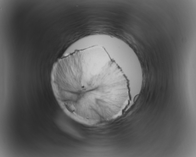 X0000088420377200706191220