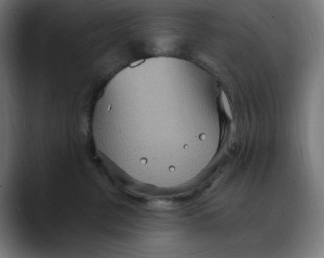 X0000088420380200706191220