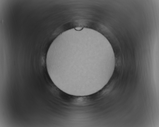 X0000088420382200706191220