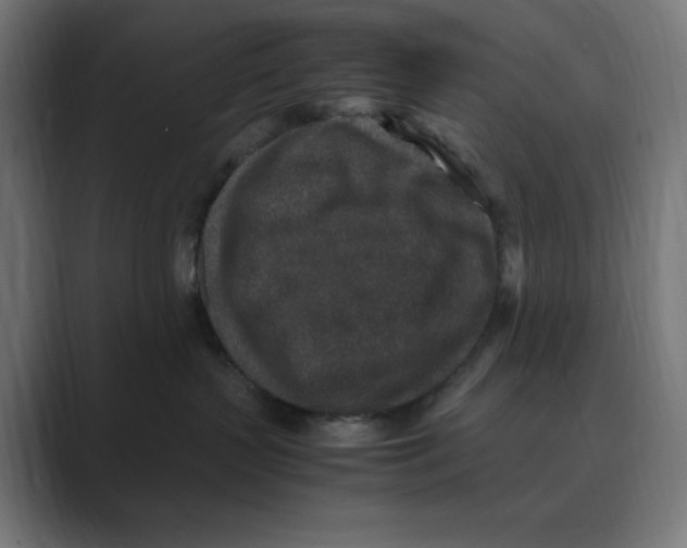 X0000088420383200706191220