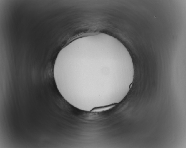 X0000088420384200706191220