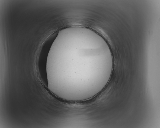 X0000088420385200706191220